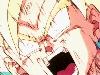 gohan043