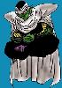 piccolo2