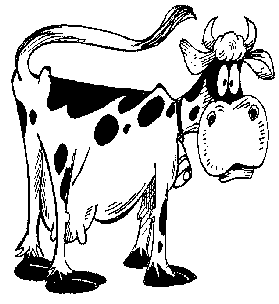 picture the north end of a southbound cow