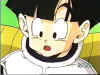 gohan.jpg (86176 bytes)