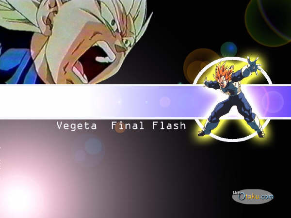Vegita-Final_Flash