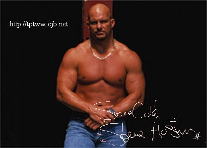 The Rattlesnake's Wrestling Website