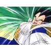 vegeta3.jpg (2919 bytes)