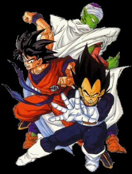 Welcome to Dragonball Network