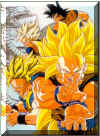image_dbz04.jpg (85431 bytes)