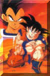 image_dbz08.jpg (25147 bytes)