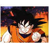 songoku3_small.jpg (3051 bytes)