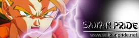 Saiyan Pride Net
