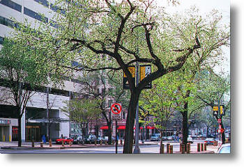 1900 K Street, N.W. March, 2000