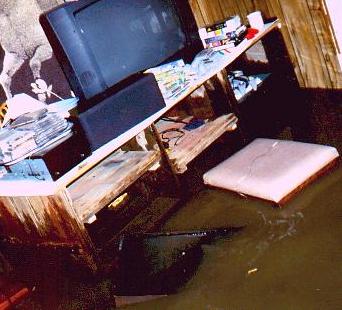 Flood Pic