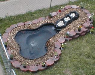 Tater's Pond