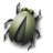 bugs