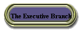 The Executive Branch