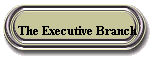 The Executive Branch