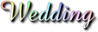 weddingheader.jpg (11262 bytes)