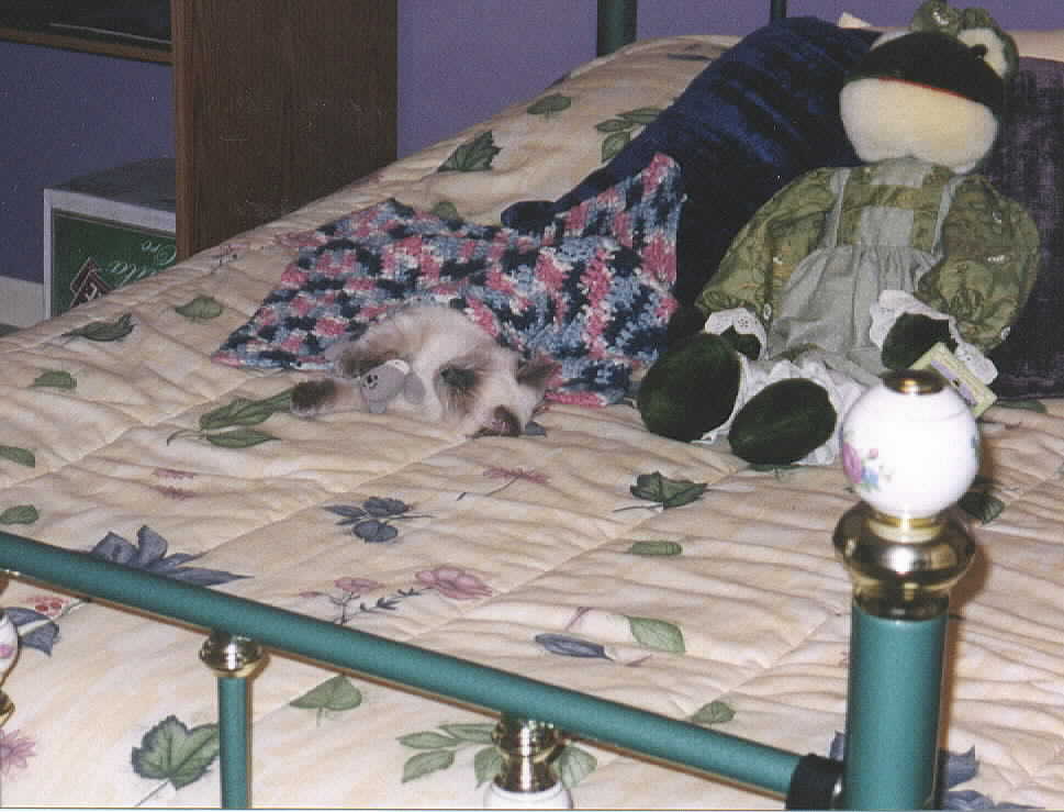 Bed Time