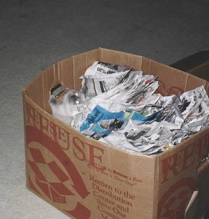 Fragile Goods