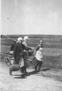 Group of refugees on the road