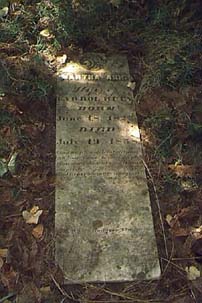 MarthaAnnRose.jpg (136502 bytes)