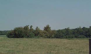 ReubenCemetery.jpg (47440 bytes)