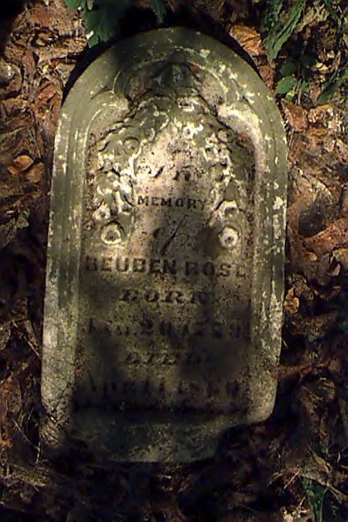 ReubenRose.jpg (130005 bytes)