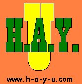 HAY-U Lawn Mower Raciing