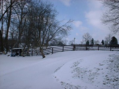 February Snow