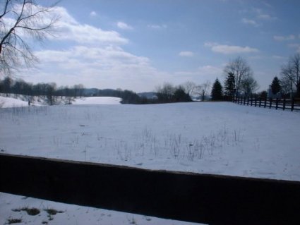 More February Snow