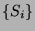 $ \{S_i\}$