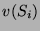 $\displaystyle v(S_i)$