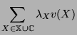 $\displaystyle \sum_{X \in \mathbb{X}\cup
\mathbb{C}}\lambda_X v(X)$