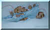 mice.jpg (369829 bytes)