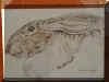 rabbit3a.jpg (302893 bytes)