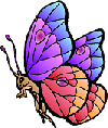 left facing butterfly