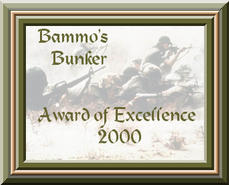 Bammo's award of excellence