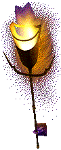 /user/light.gif