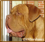Click to go to Clifford's Page.
