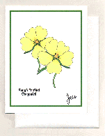Cinquefoil