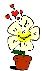 HappyFlower
