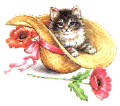 Kitty