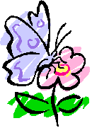 SpringFlower