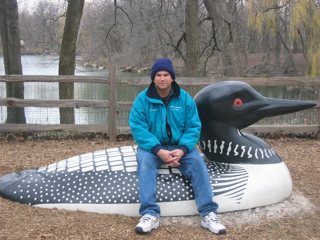Oversized Loon at Brookfield Zoo.