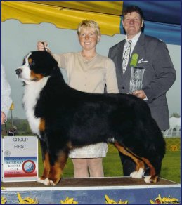 lilian ostermiller bernese mountain dog