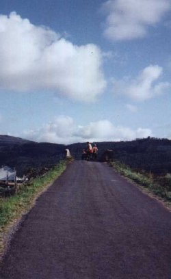 estrada com ponte romana