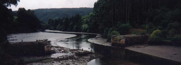 Ponte derrubada a caminho de Viveiros
