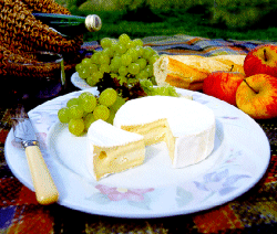 /user/Somerset_Camembert.gif