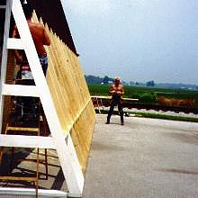 Dennis Working