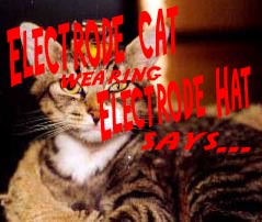 A saying of the type that Electrode Cat wearing Electrode Hat have been spokened!