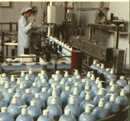 The production floor