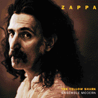 Yellow Shark